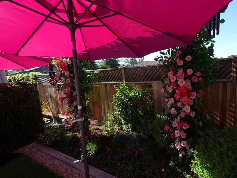 Magenta patio umbrella beside a rose-covered arch at a Newark backyard party