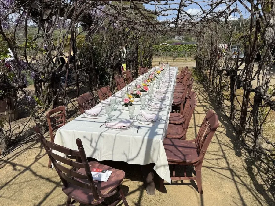Vineyard banquet table with petite blossom arrangements spaced between simple settings — bud vase groupings from Fremont and Hayward catering
